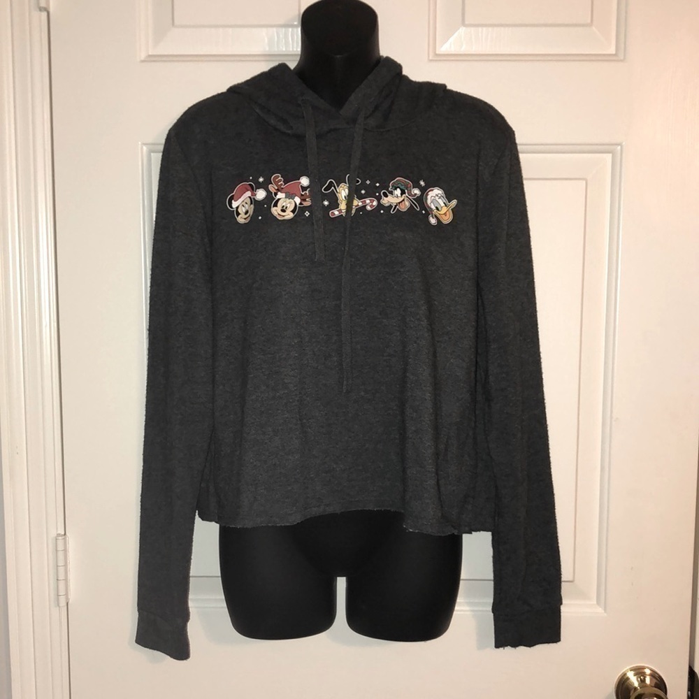 𝅺Disney Holiday Character Hoodie